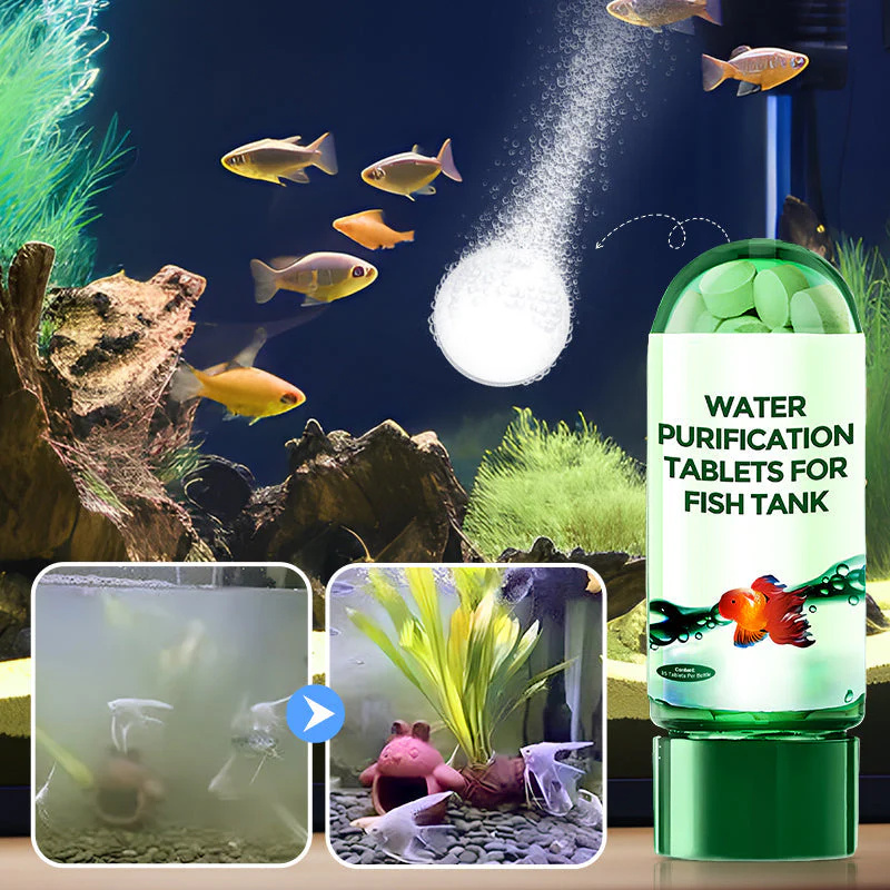 Water Purification Tablets Eco - đánh giá và giá Water Purification Tablet