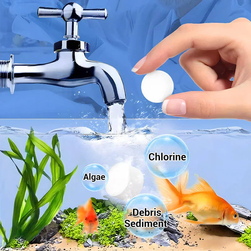 Water Purification Tablets Eco - đánh giá và giá Water Purification Tablet